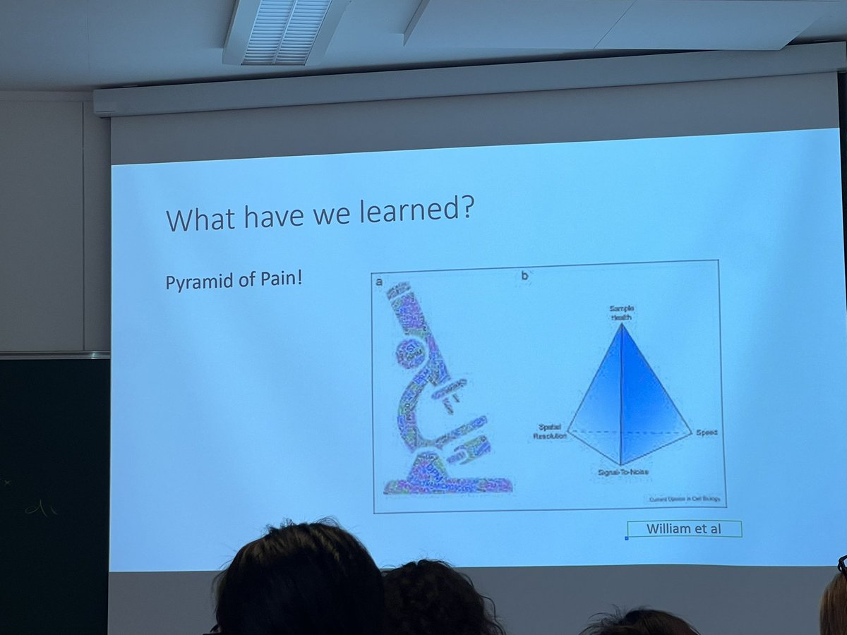 Edna,Xian HU tweet media