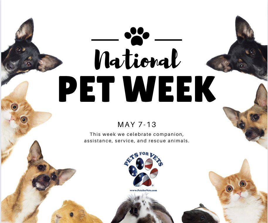 Pets for Vets (@petsforvets) on Twitter photo 