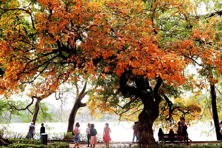 vietnamtravel20's tweet photo. Hoan Kiem Lake is a relic that has seen many ups and downs in the history of Hanoi. As one of the symbols of the capital, it is an unmissable destinat
ion for visitors to the capital.
#Hanoicity_tours #vietnam_tour #Hanoi_Street_Food #honeymoon #adventure_tour #Hoan_kiem_lake https://t.co/2tQGyOz9EO