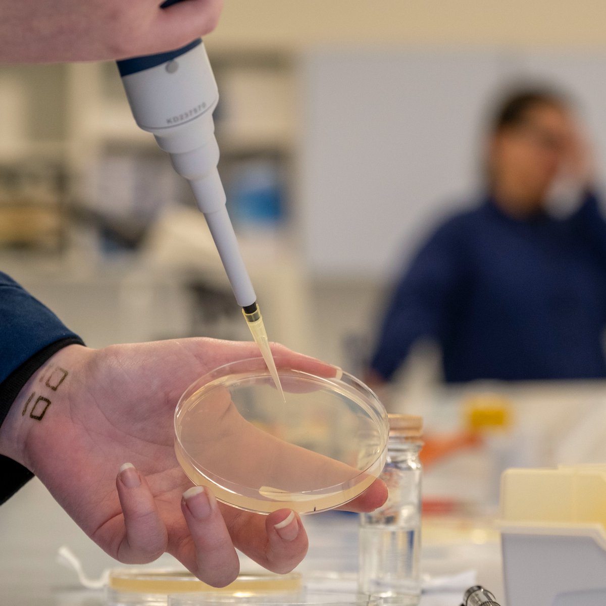 Looking to return to education after a break? Imagining yourself working in a lab, doing ground-breaking research and creating world-changing vaccines?

Our <a href="/SWAPNational/">SWAP</a> courses could be the first step that you're looking for!  What to know more? Visit: bit.ly/3W0rdEc