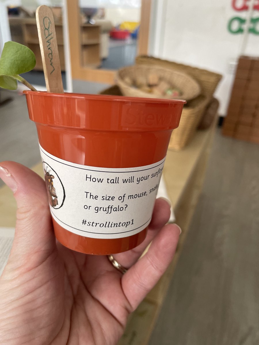 Nethermains ELC tweet media