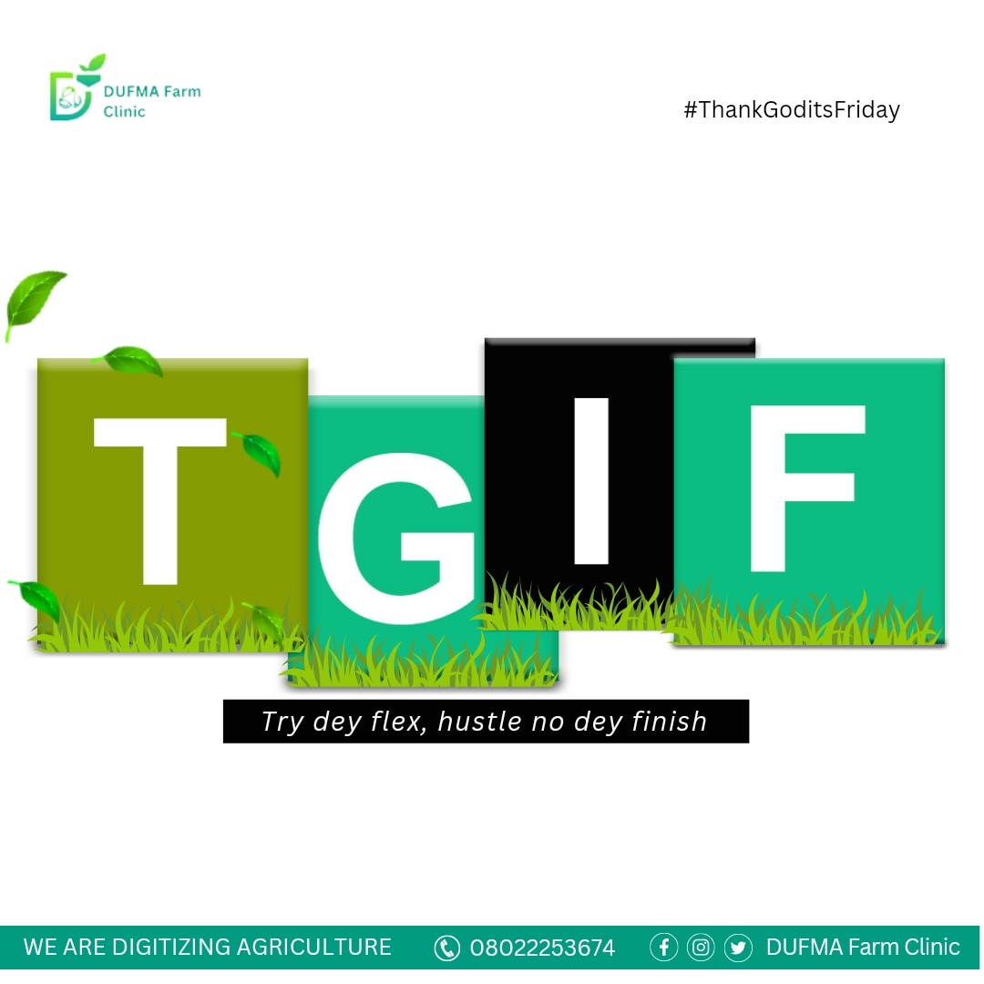 DufmaFc's tweet photo. As the proverb goes, "All work and no play makes Jack a dull boy"...
Once more, it's the weekend; try to relax, enjoy yourself, and vibe with those you love.

Thank God it's Friday..
#weekend #AgricultureinNigeria
#HappyFriday #agribusiness
#TGIF https://t.co/7FWXS1X1Gc
