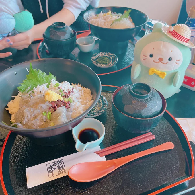 おめまいとシラスキメました