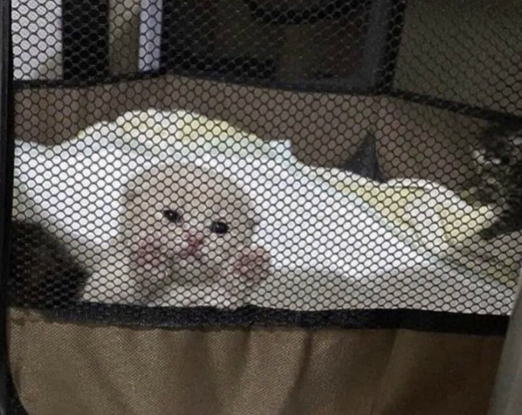 jailed for his crimes