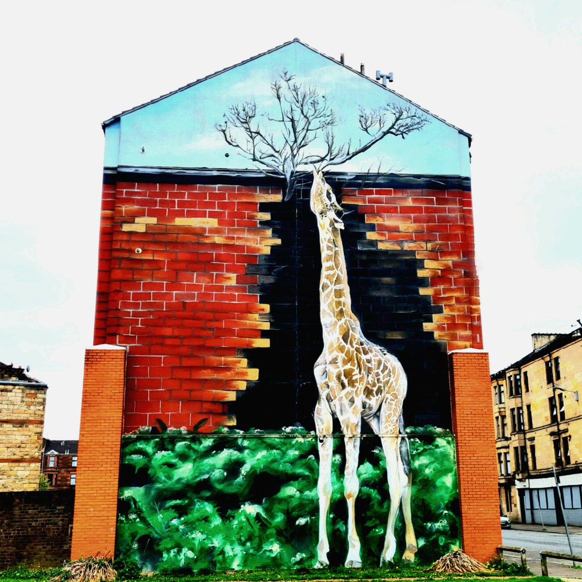is_glasgow's tweet photo. 'You're Having A Giraffe!'
This mural on a gable end on Shettleston Road in Glasgow was painted in 2014.
#glasgow #streetart #murals #glasgowmurals #giraffe
#glasgowstreetart #gableend #tenements #glasgowtenements #shettleston #shettlestonhousingassociation https://t.co/diHYByQPJ7