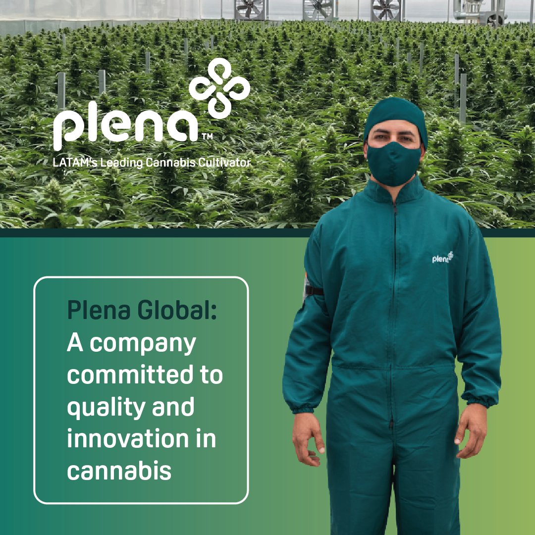 PlenaGlobal's tweet photo. Are you seeking a rewarding career in a dynamic, cutting-edge biotech organization? Plena Global is the ideal starting point for your ambitions.

#PlenaGlobal @cannabis #THC #CBD #Biotechnology #Innovation #MedicinalCannabis #Opportunity https://t.co/x3UvYIkWcl