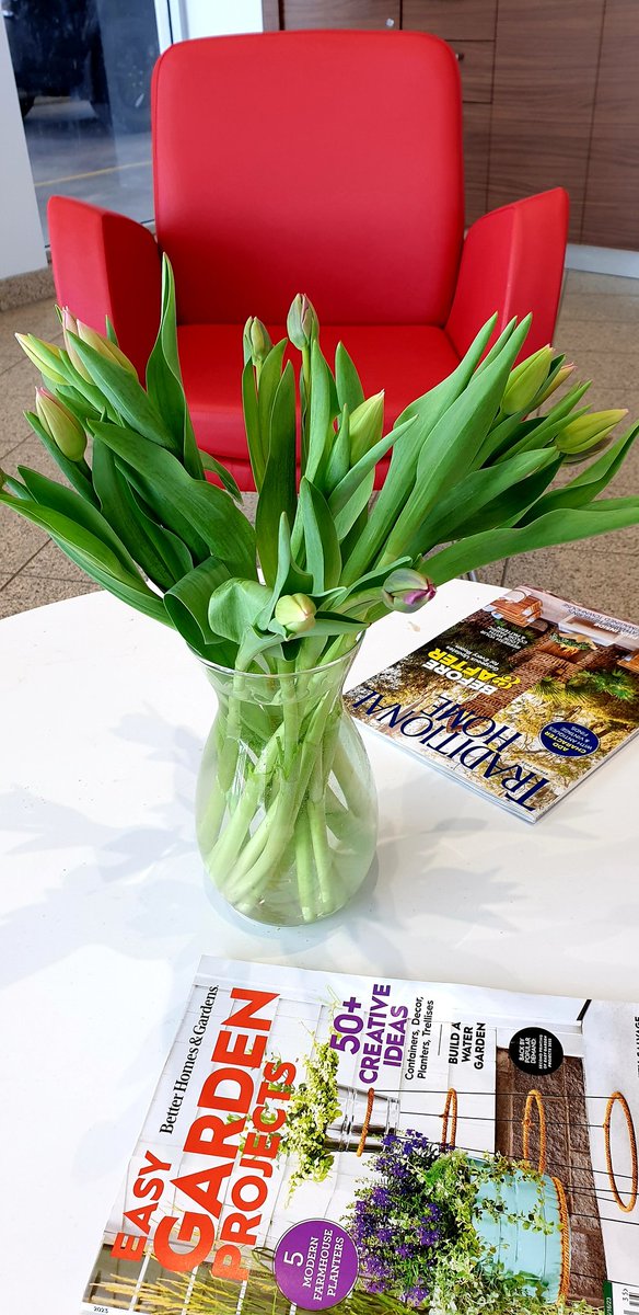 MariamJKarim's tweet photo. Waiting at the dealership for oil change and you have this beautiful place to sit #ThePhotoHour #photooftheday #tulip #spring2003 https://t.co/a4zKWXxwKa