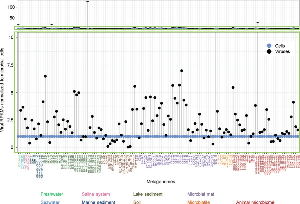 DEEM team Orsay (@deemteam_orsay) on Twitter photo Our paper about metagenomic-based virus vs cell quantification is out in <a href="/ISMEJournal/">The ISME Journal</a>. Great collaboration with @mkrupovic & <a href="/frovalera/">Francisco R-Valera</a>. The famous idea “>one order of magnitude more abundant than cells” holds for DNA viruses only in very few habitats rdcu.be/dbUY2 Our paper about metagenomic-based virus vs cell quantification is out in <a href="/ISMEJournal/">The ISME Journal</a>. Great collaboration with @mkrupovic & <a href="/frovalera/">Francisco R-Valera</a>. The famous idea “>one order of magnitude more abundant than cells” holds for DNA viruses only in very few habitats rdcu.be/dbUY2
