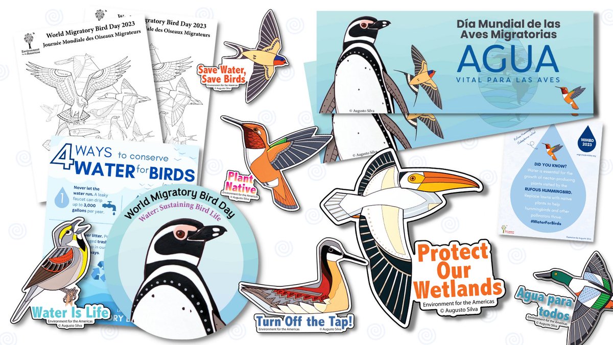 This year’s #WorldMigratoryBirdDay focuses on the importance of #WaterForBirds. Let’s spread the word!

Fly over to our resource library to find free, downloadable materials in English, Spanish, French, and Portuguese.

➡️ migratorybirdday.org/resources