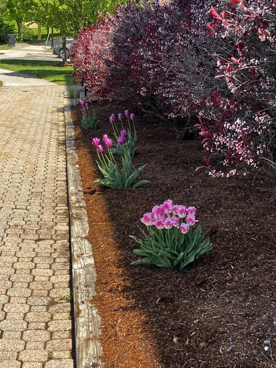 James Birge tweet media