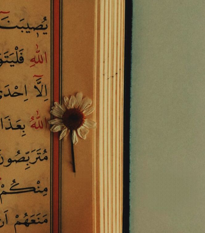 Ugur_3463's tweet photo. Güzel günler göster bize Rabbim, çiçek açsın kanayan yaralarımız,
Hak ettiğimizle değil, merhametinle muamele et bize... https://t.co/I9vd9PNC3e