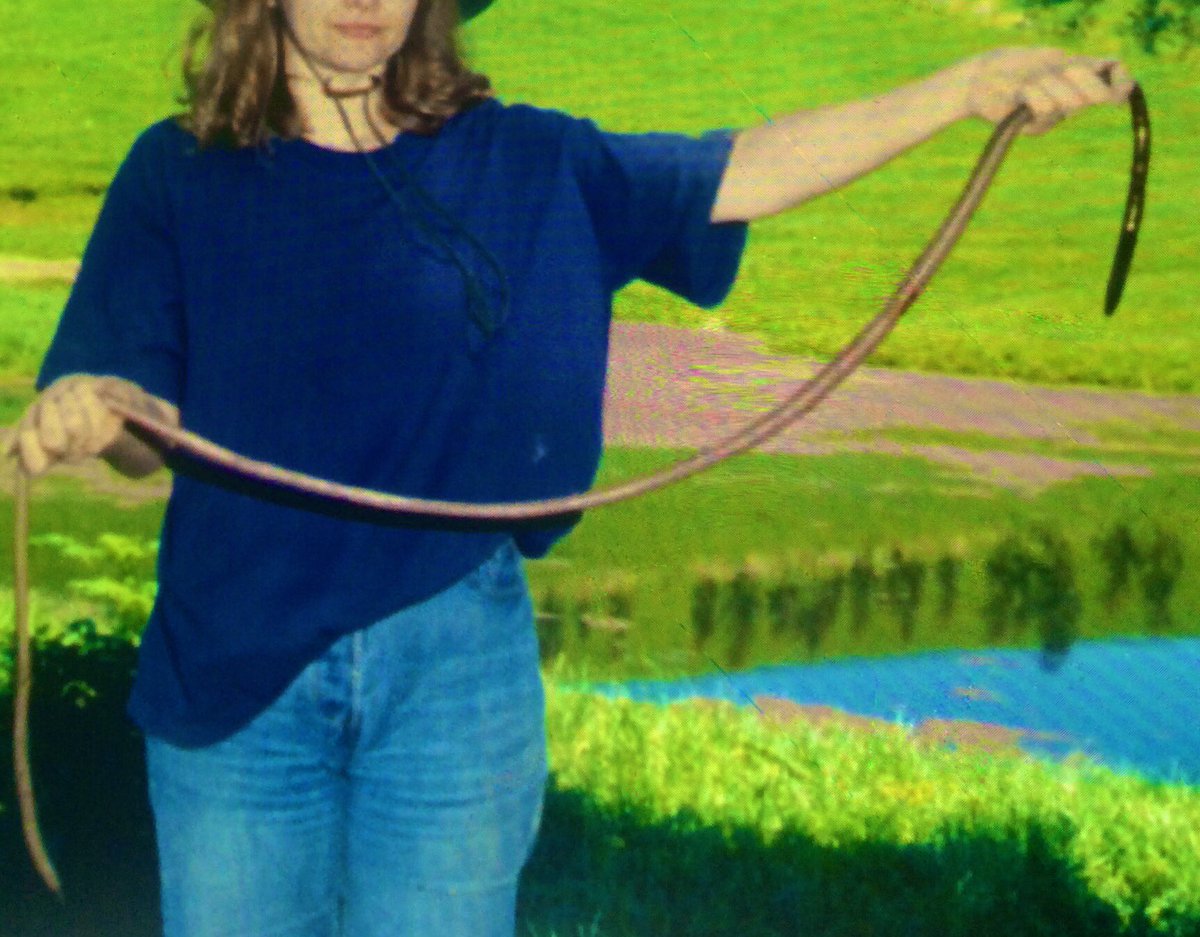 Hoyle Court Primary School tweet media