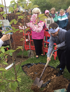 We commemorated the Coronation of King Charles III by planting a tree with very special visitors! <a href="/StAlbansCouncil/">St Albans Council</a>  <a href="/BBCNews/">BBC News (UK)</a>  #Coronation #parkstreet #makinghistory