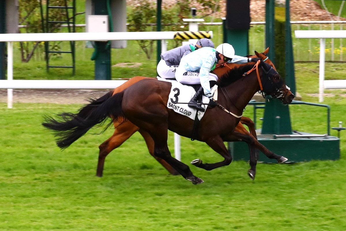 Jour de Galop (@jour_de_galop) on Twitter photo Dead-Heat dans le Prix la Troienne (Classe 2) à Saint-Cloud entre MISS CANTIK (Recoletos <a href="/PetitTellier/">PETIT TELLIER</a>) et EXCELLENT TRUTH (Cotai Glory <a href="/HoStud/">Tally-Ho Stud</a>).
📸<a href="/ScoopDyga/">ScoopDyga</a> Dead-Heat dans le Prix la Troienne (Classe 2) à Saint-Cloud entre MISS CANTIK (Recoletos <a href="/PetitTellier/">PETIT TELLIER</a>) et EXCELLENT TRUTH (Cotai Glory <a href="/HoStud/">Tally-Ho Stud</a>).
📸<a href="/ScoopDyga/">ScoopDyga</a>
