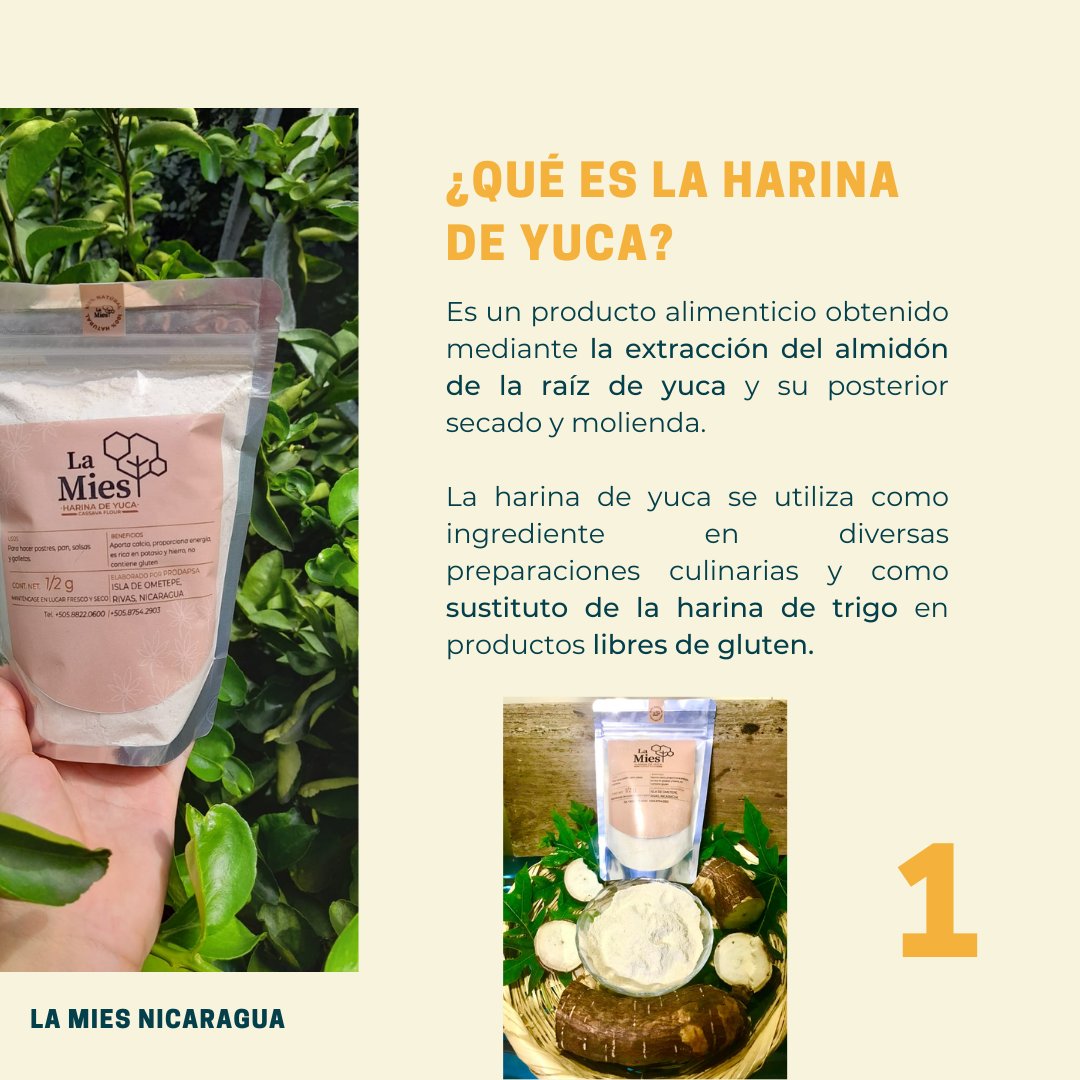 ¡Descubre el delicioso #sabor y los beneficio #naturales de nuestra harina de yuca! 🍠

#LaMies #Nicaragua #HarinaDeYuca