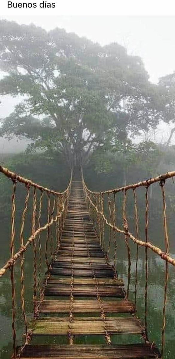 Buenas tardes.