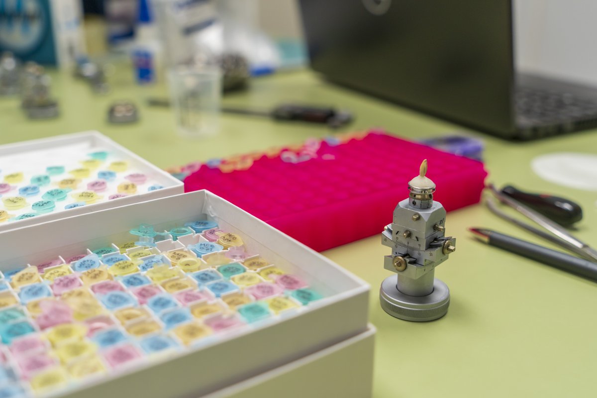 CanLightSource's tweet photo. #OnTheBeamlines: Researchers from @umanitoba Department of Microbiology are using the #BMIT beamline at the CLS to generate 3D images of individual kernels of barley and kernza.

@umanitobasci @bakker_lab @saskbarley @um_research 

Full story: https://t.co/uhGxIecYz9 https://t.co/AG8f3ARjgH