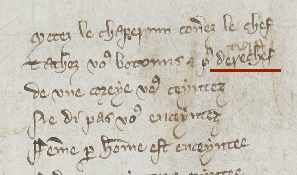 medievalfrench's tweet photo. 1️⃣ Our first is from fol. 5r, glossing the French 'derechef' ['once again '] in the line 'Tachez vos botouns, et pur derechef' ['Do up your buttons, and once again ...']. The context, as you may guess, is that the imagined student is heading outside! https://t.co/R9p9nvJ5Tf