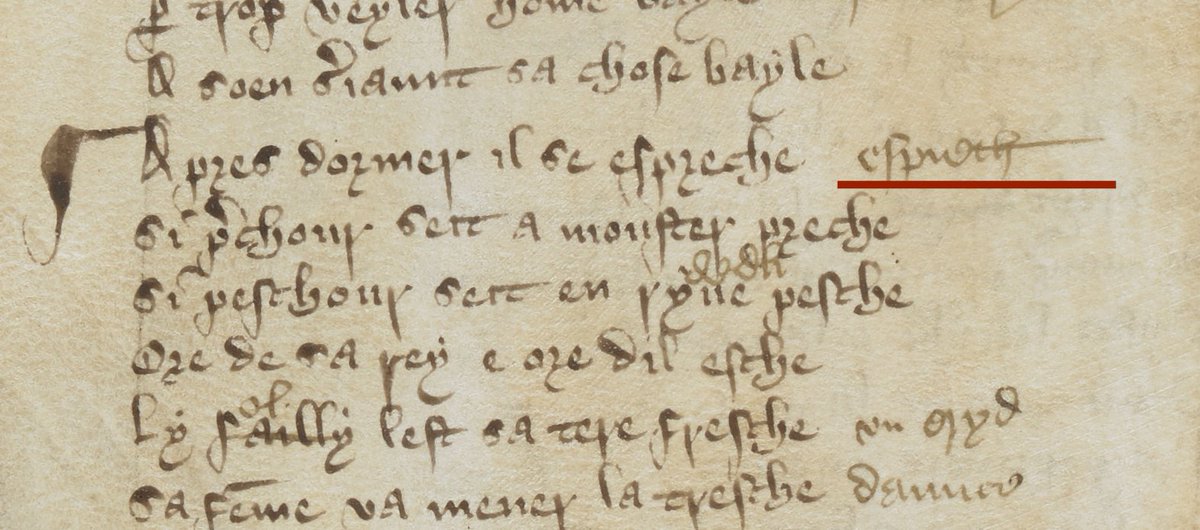 medievalfrench's tweet photo. 2️⃣ On fol. 5v, we have an English gloss to 'espreche' ['stretch'] that looks very similar to the French, but it doesn't appear to be attested in the MED. (Context: 'Apres dormer il se espreche' / 'After sleeping, he stretches out') https://t.co/q4G3pZhXlf