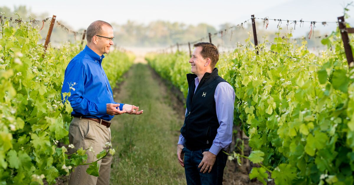 AmericanAg's tweet photo. Shareholders – It’s time to elect your leadership! You can vote online or via mail-in ballot to determine your Directors and Nominating Committee members. Check your email and/or mailbox for further voting instructions.
Read about the nominees here: https://t.co/8syaICuLCa https://t.co/edhNN9yLm3