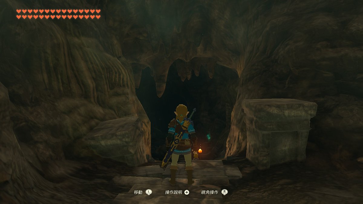 AkumaRuei's tweet photo. #TearsOfTheKingdom #王國之淚 #薩爾達傳說 #Zelda #NintendoSwitch https://t.co/A1UPGROpSl