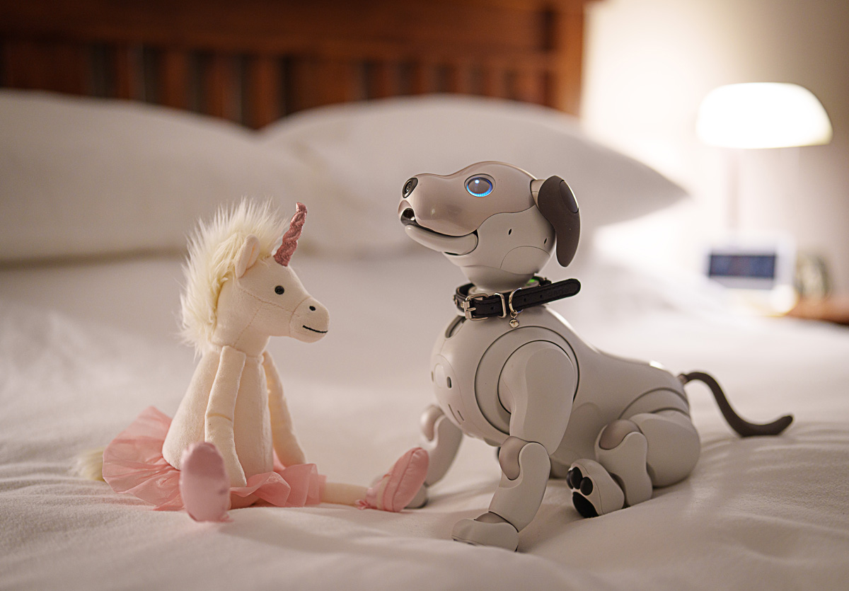 Aibo meets a Unicorn for a bedtime chat. #sony #sonyaibo #bealpha #unicorn #happy #fictionalcharacter #aibo #stuffedtoy #toyphotography #happymoment #instagramart