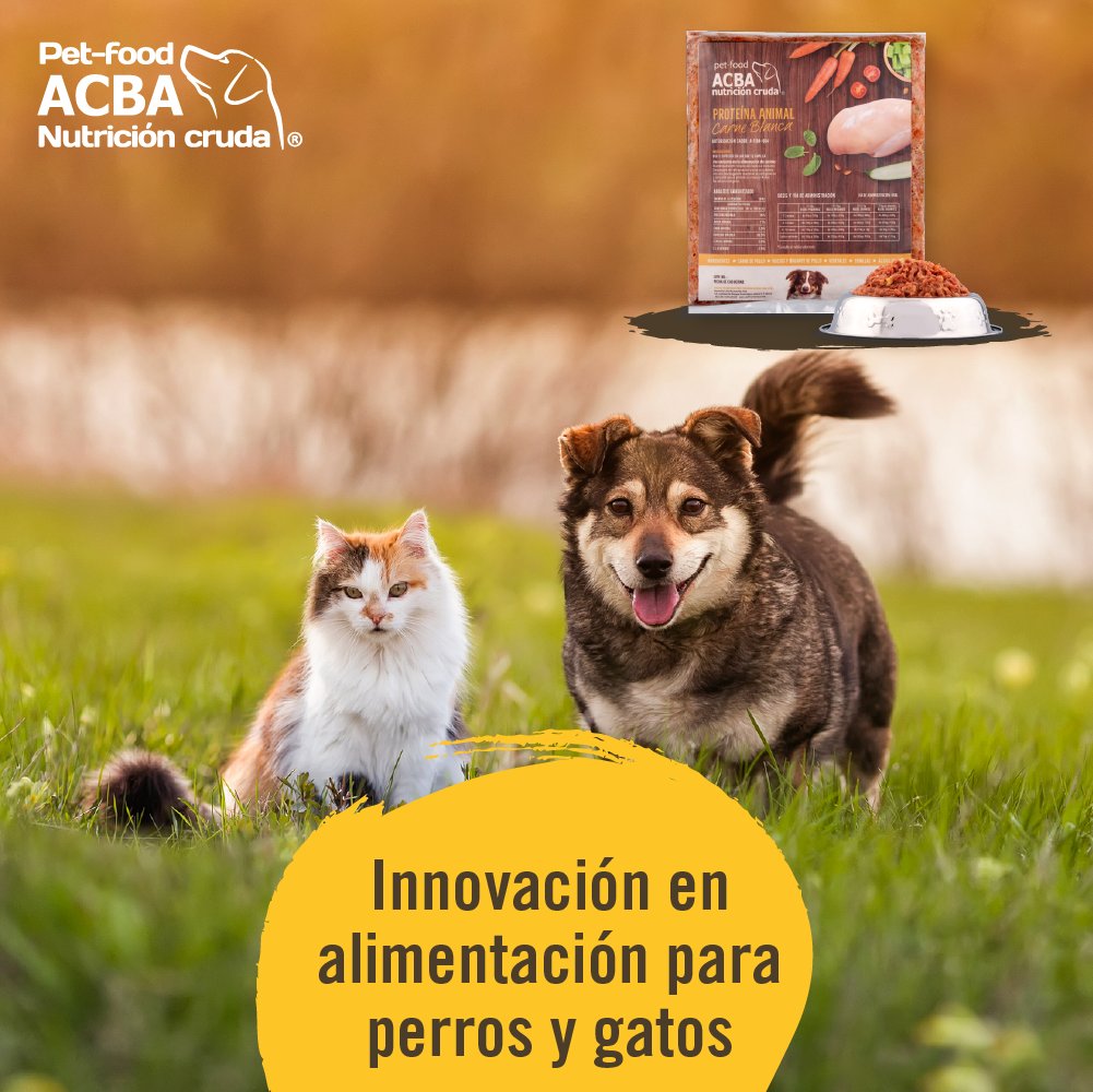 amtrgn74's tweet photo. RT @petfoodACBAgdl: Tenemos más de 12 años en la industria haciendo uso de tecnología que nos permite ofrecer una dieta natural y variada para tus perros y/o gatos. https://t.co/qEIAR1958n