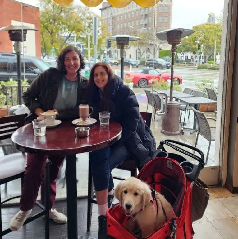 WF_Writers's tweet photo. Love to see WFWA members "in the wild".
#WFWA #womensfiction #womensfictionwriters #writermeetup #authorfriends #inthewild https://t.co/Oo3lyoEbXJ