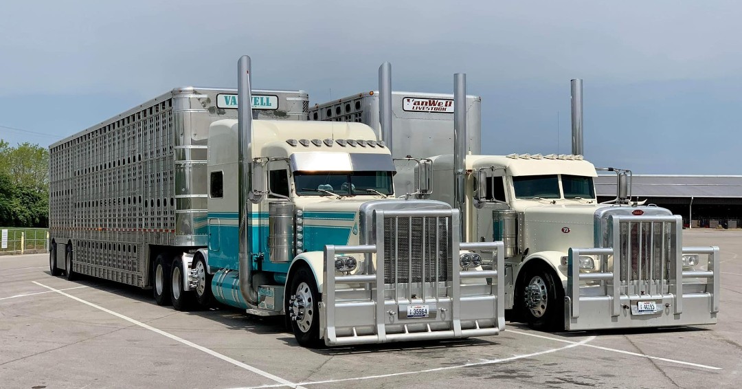 Double trouble ✌️

Pulled from Facebook - Tag the owners if you know them!

#HERD #HERDBumpers #HERDGuard #TruckGuard #GrilleGuard #StrongerTogether #moosebumper #HERDmoosebumper #deerguard #bullbar #bullguard #grillguard #semitrucks #truckers #Trucking #bigrigs #deercatcher