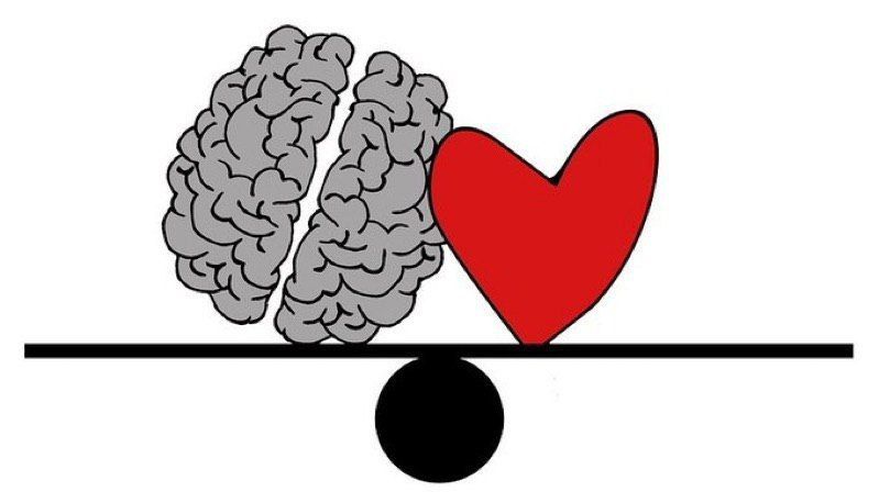 ds00o's tweet photo. القلب والعقل صديقان مقربان إليك دومًا فلا تقلل من شأن أحدهمابسبب مواقف الحياة العابرة
فالمواقف تمضي على أية حال 
انصت جيدًا لما يقولانه لك بلحظات حير��ك
و لا تجعل أخطاء الماضي سببا للتخلي عن صداقة أحدهما
فروحك بحاجة إلى لين قلبك وإلى إتزان عقلك 
و حين يضعف أحدهما سيحميك الآخر https://t.co/sXEVFj8QHS