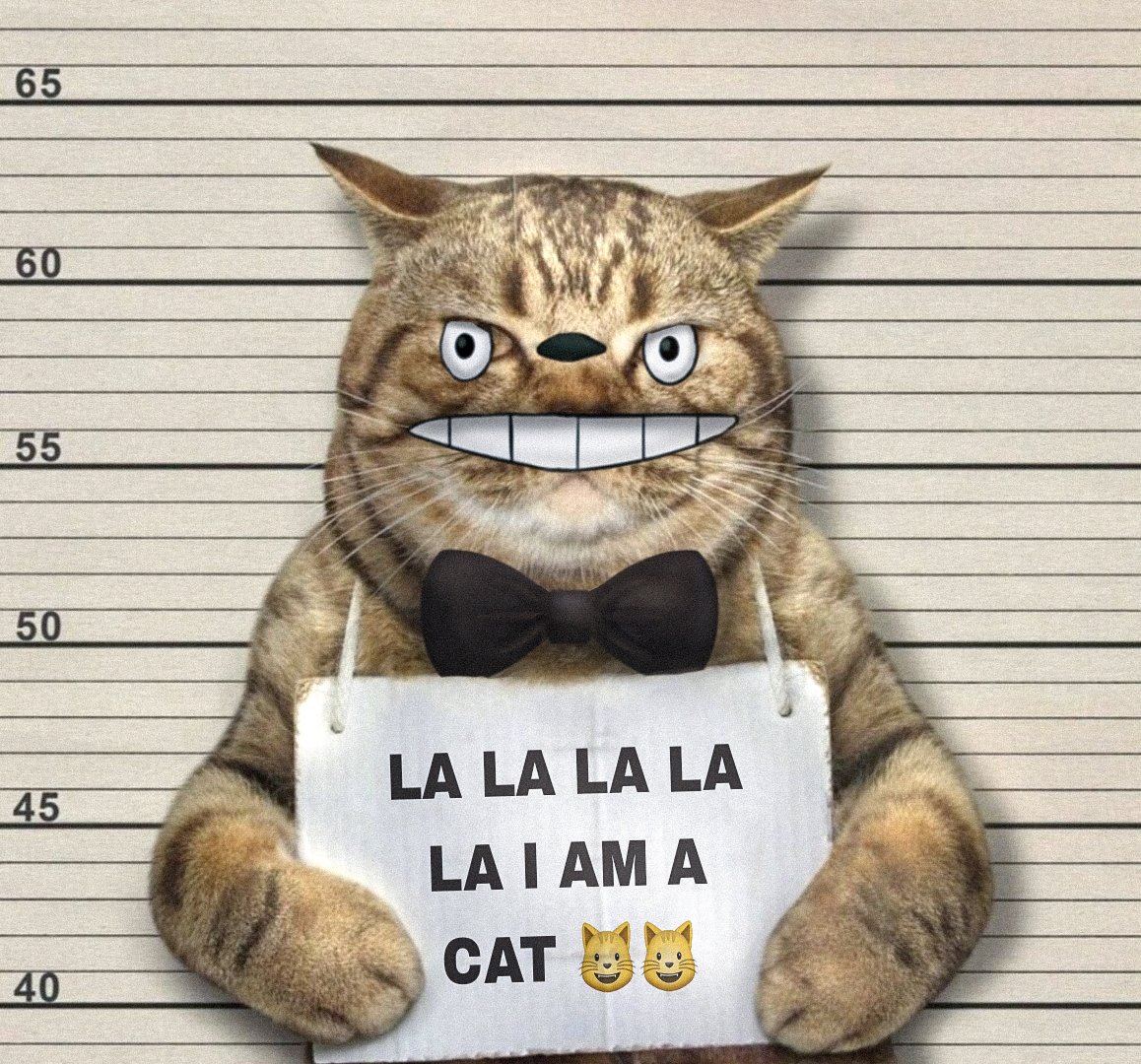 TΞtranodΞ 🦇🔊 (@tetranode) on Twitter photo The account known as <a href="/Tetranode/">TΞtranodΞ 🦇🔊</a> is ran by multiple entities
Think of it as one litter box for multiple cats The account known as <a href="/Tetranode/">TΞtranodΞ 🦇🔊</a> is ran by multiple entities
Think of it as one litter box for multiple cats