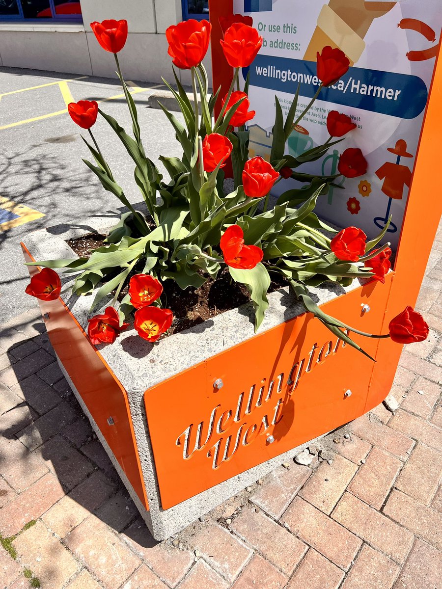Love my neighborhood <a href="/Wellington_West/">Wellington West Business Improvement Area</a> in <a href="/ottawacity/">City of Ottawa</a>