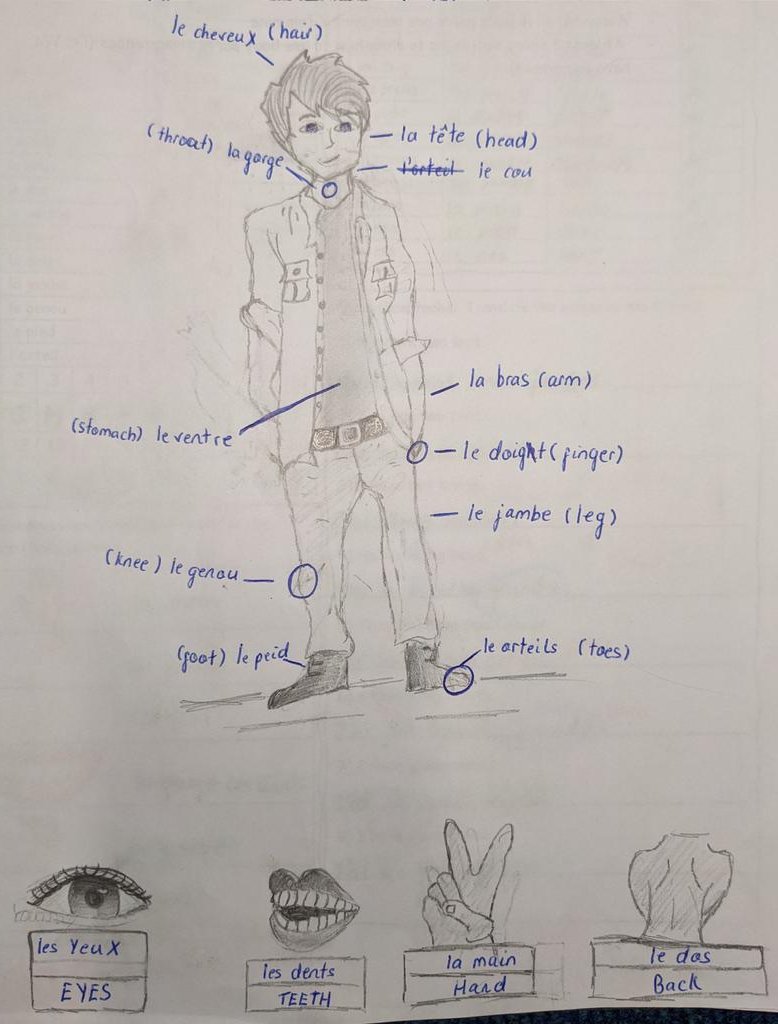 St. Anthony's Boys - Languages tweet media