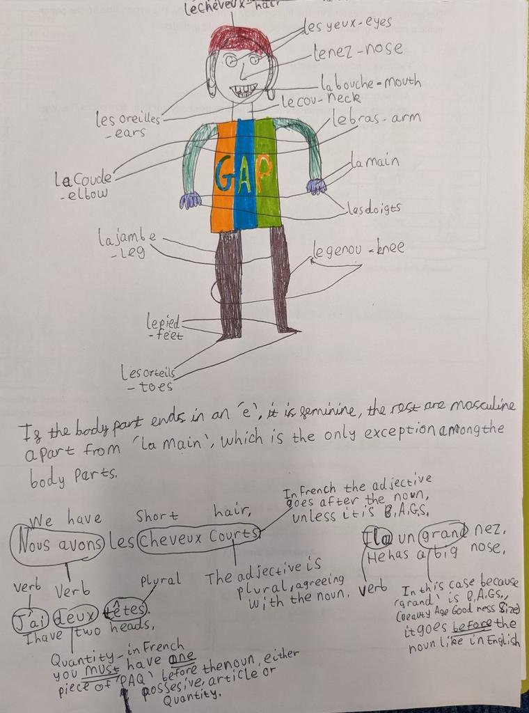 St. Anthony's Boys - Languages tweet media