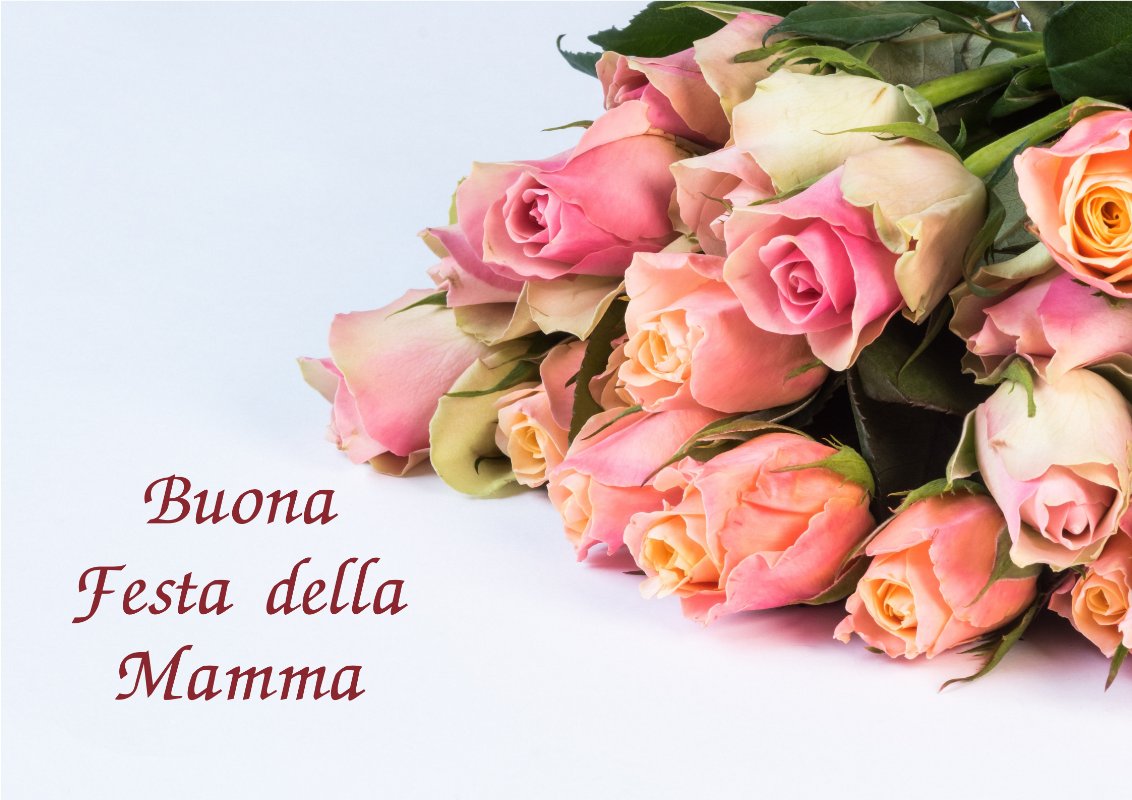 ToffiniAcademy's tweet photo. Per la Festa della Mamma regala💚 Toffini Academy 💚 #festadellamamma #toffiniacademy #napoli #food - https://t.co/TK0l5PTmnV https://t.co/pflSDCjYU1