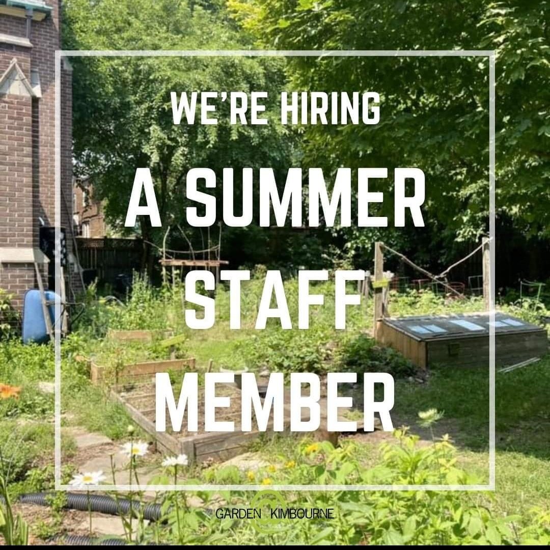 GardenKimbourne's tweet image. Are you between 15 and 30 and looking for a summer job? Come work with us! We're hiring an Education Outreach Program Coordinator to support our mission to grow food and grow community. Check out our posting at 
 goodwork.ca/jobs/outdoor-j…

#torontojob #torontosummerjob