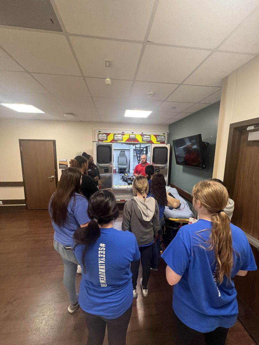 Brewer Bear CTE tweet media