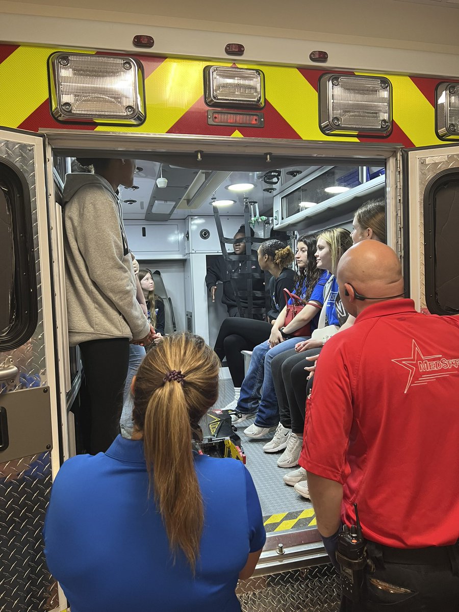 Brewer Bear CTE tweet media