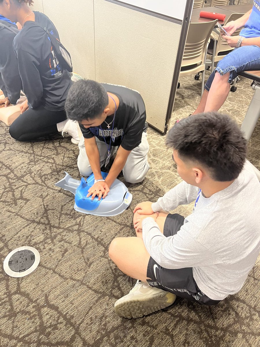 Brewer Bear CTE tweet media