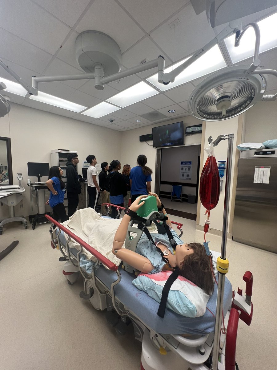 Brewer Bear CTE tweet media