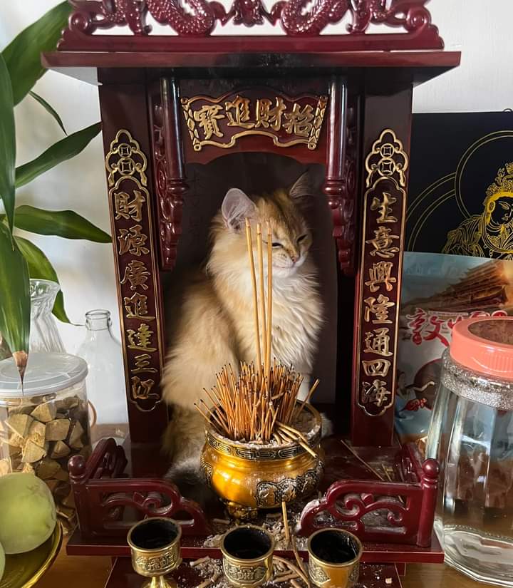 กางอาณาเขต อารามสงฆ์ซ่อนแงว