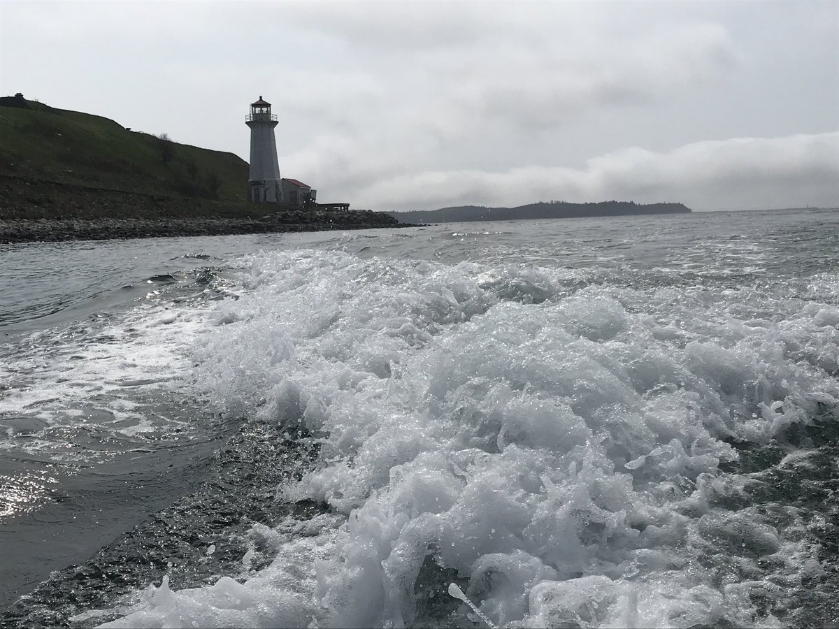 Jonathan MacInnis tweet media