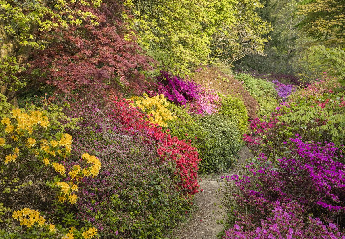 Happy #SurreyDay from Winkworth Arboretum. We're the National Trust's only arboretum and horticultural gem that Surrey residents continue to enjoy season by season and year after year.