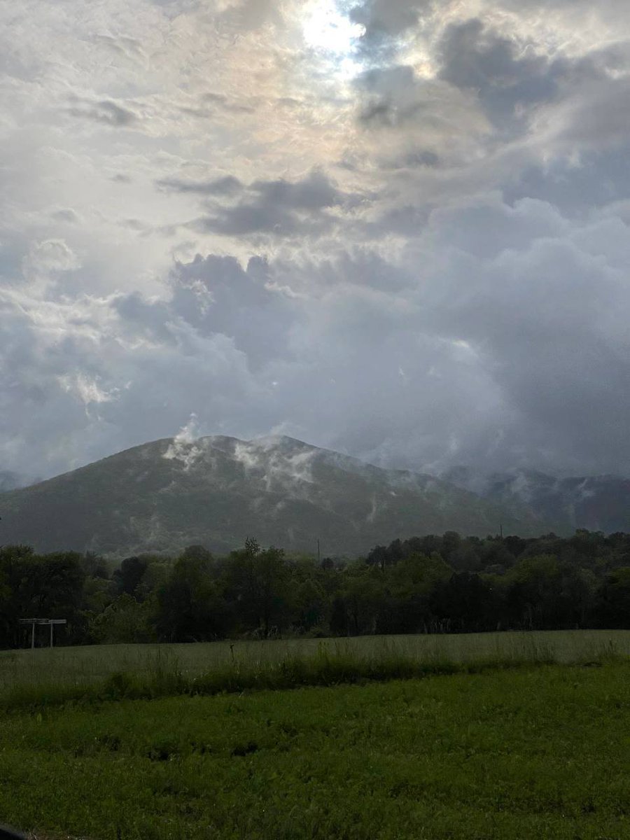 #An adventure a day keeps the doctor away.  #flower 👋