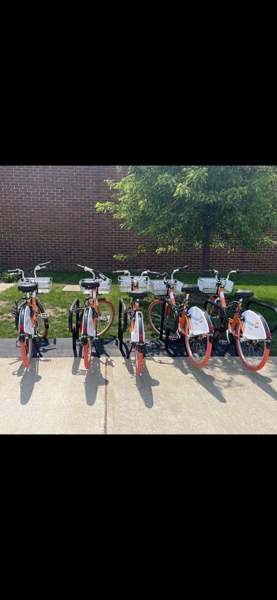 fsc_recreation's tweet photo. These PedalShare bikes from @LoveBethpage are the latest great addition to campus with stations located at Nold Hall, Orchard Hall, and the Campus Center! Take advantage of this beautiful weather and rent one out today and enjoy our beautiful campus and surrounding area! https://t.co/cefklb1Gkj