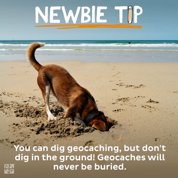 You can dig #geocaching, but don't dig in the ground! Geocaches will never be buried. Be careful to not tear up an area looking for a cache; leave the area in as good or better condition as you found it. pinterest.com/pin/3588806640…