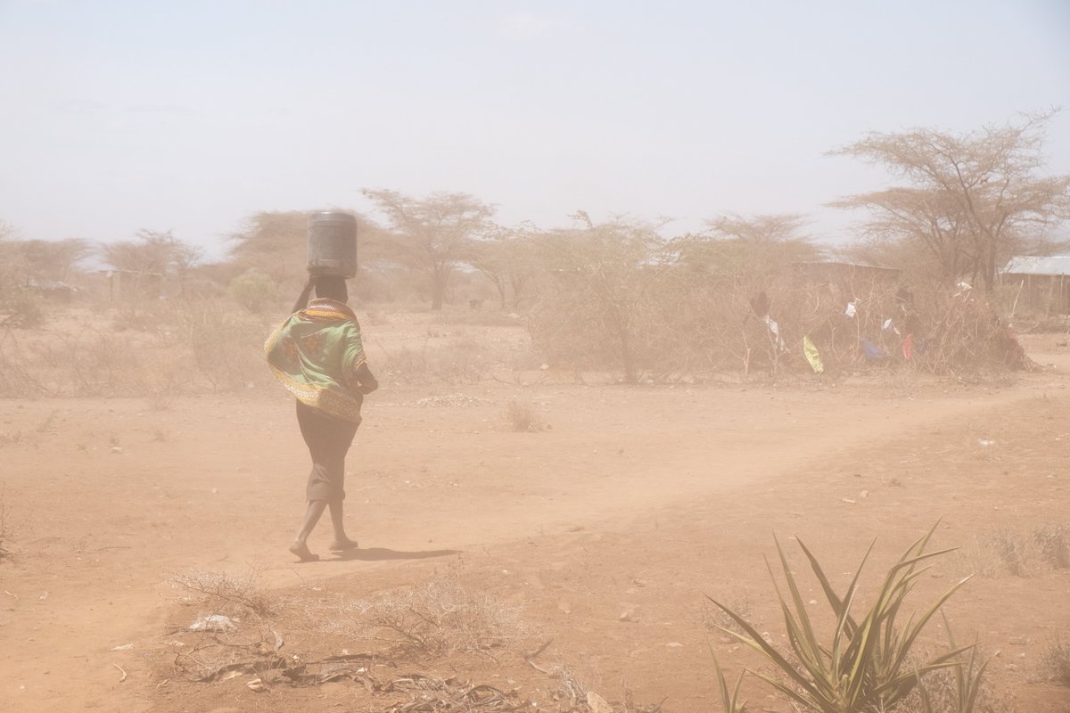 Climate change increases disasters, especially in Africa, where #drought, #flooding, disease epidemics coexist.

By 2050, the risk of hunger is projected to increase by 10-20%. Longer-term programming is the next step for @IFRC to address the root causes of #foodinsecurity.