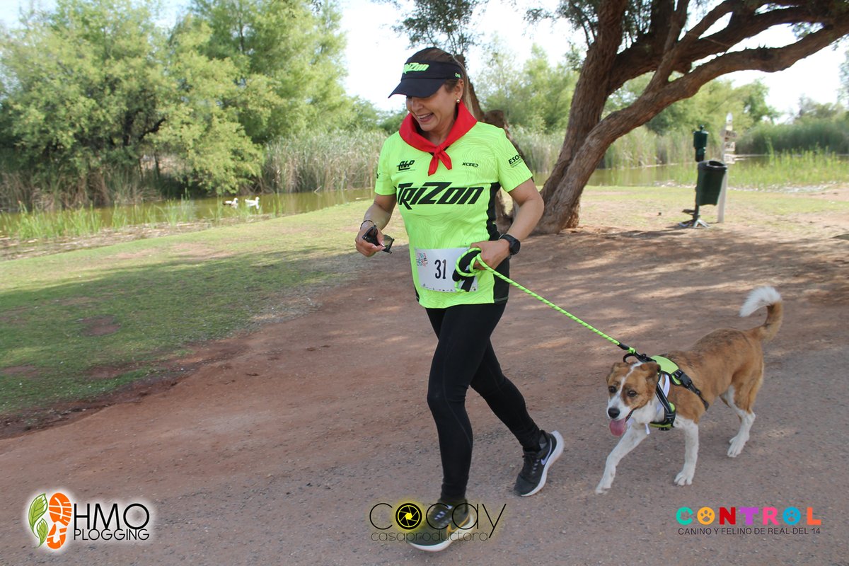 Hermosillo Plogging tweet media