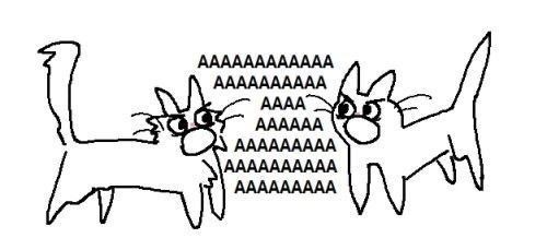 nilivyn's tweet image. AAAAAAAAAAAAAAAAAAAAAAA