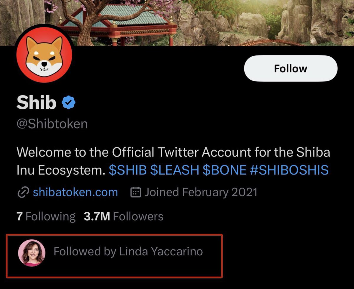 JUST IN: New Twitter CEO Linda Yaccarino is following Shiba Inu on the platform.